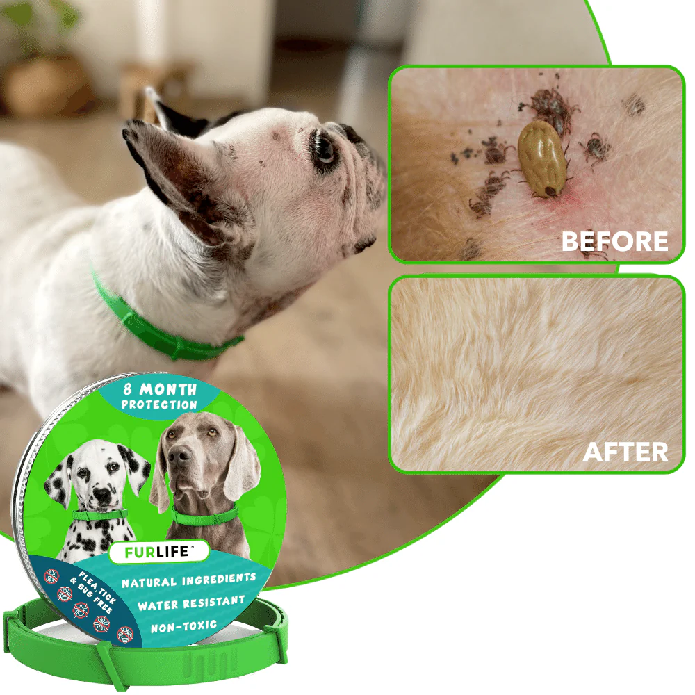 FurLife⢠8 Months Flea and Tick Free