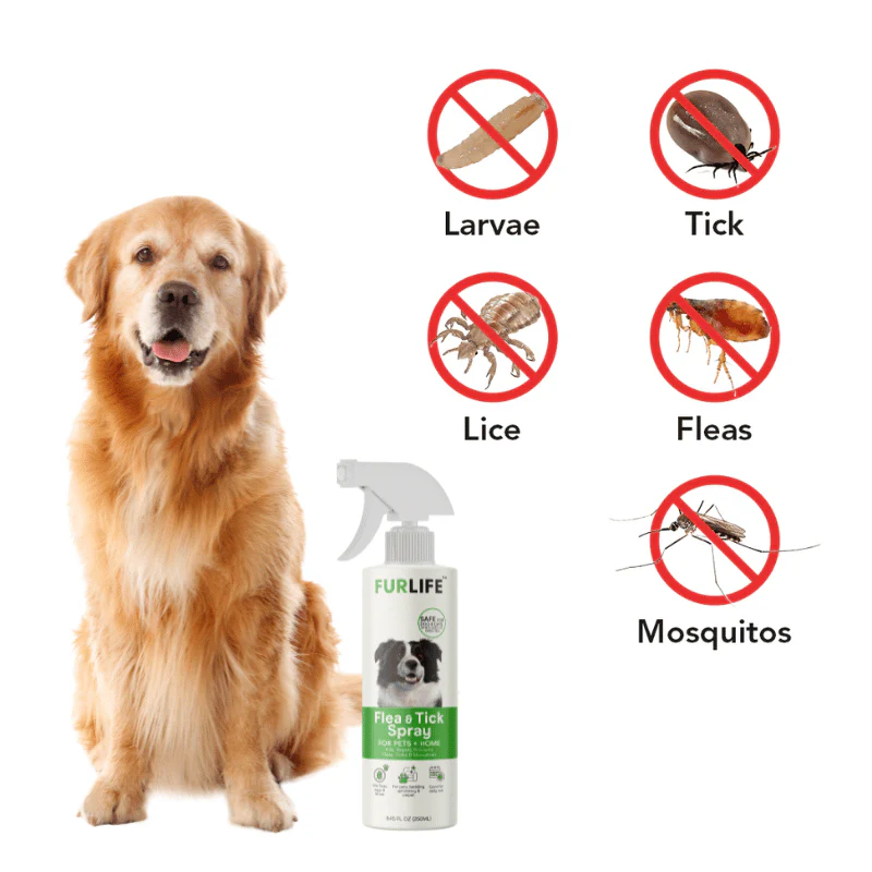FurLife™ - All Natural Flea & Tick Spray for Dogs and Cats - Image 2