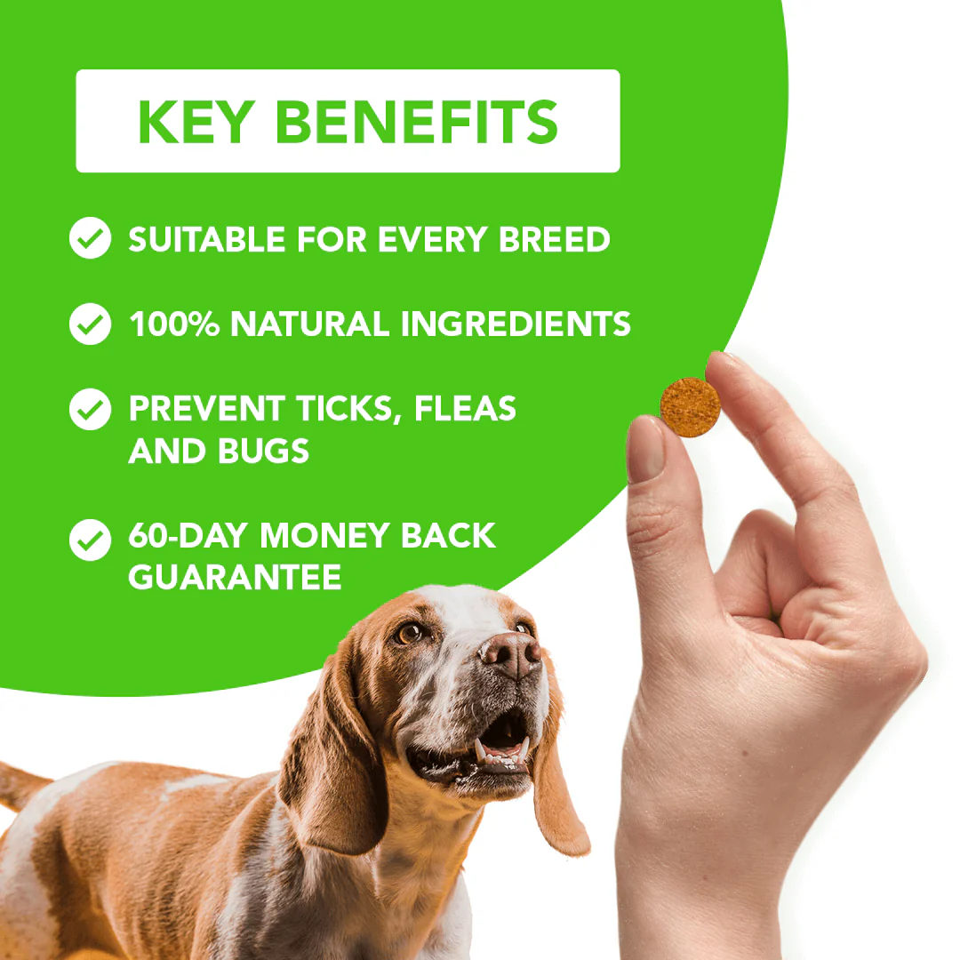 FurLife™ - Flea & Tick Defense Chews - Image 3