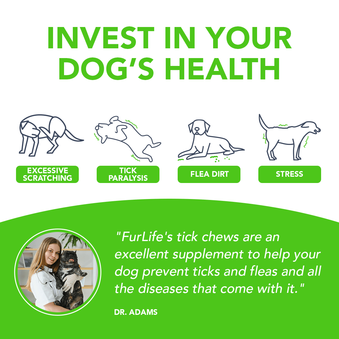 FurLife™ - Flea & Tick Defense Chews - Image 4