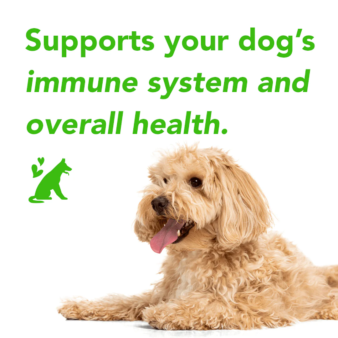 FurLife™ - Flea & Tick Defense Chews - Image 5