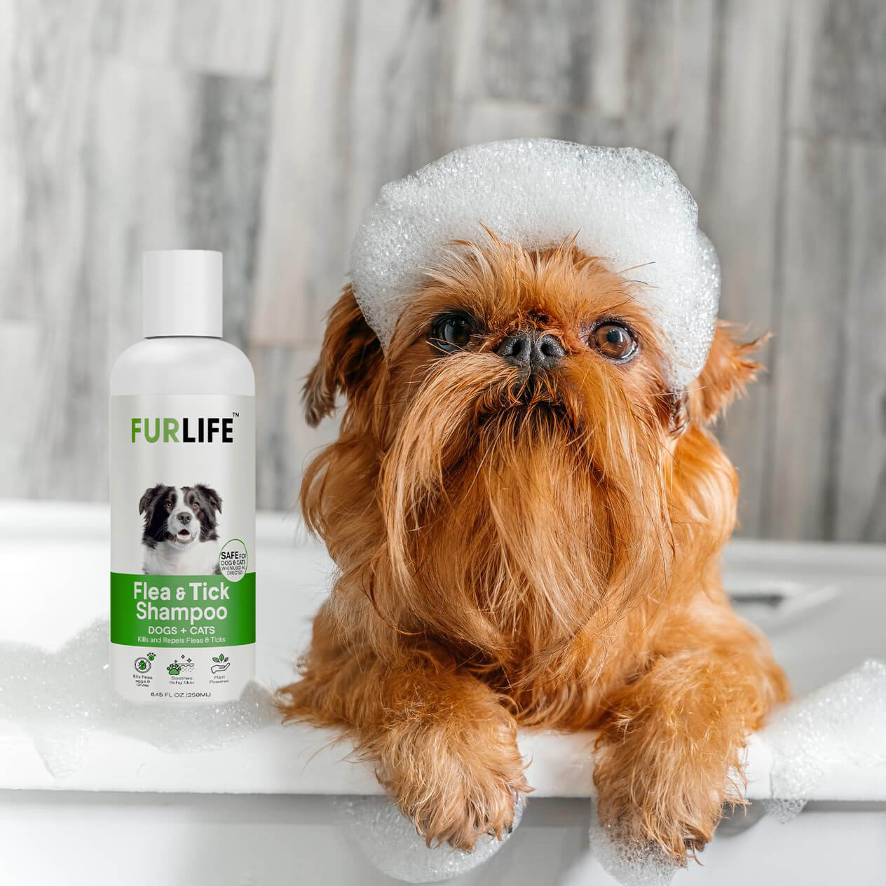 FurLife™ - Full Protection Bundle - Image 4