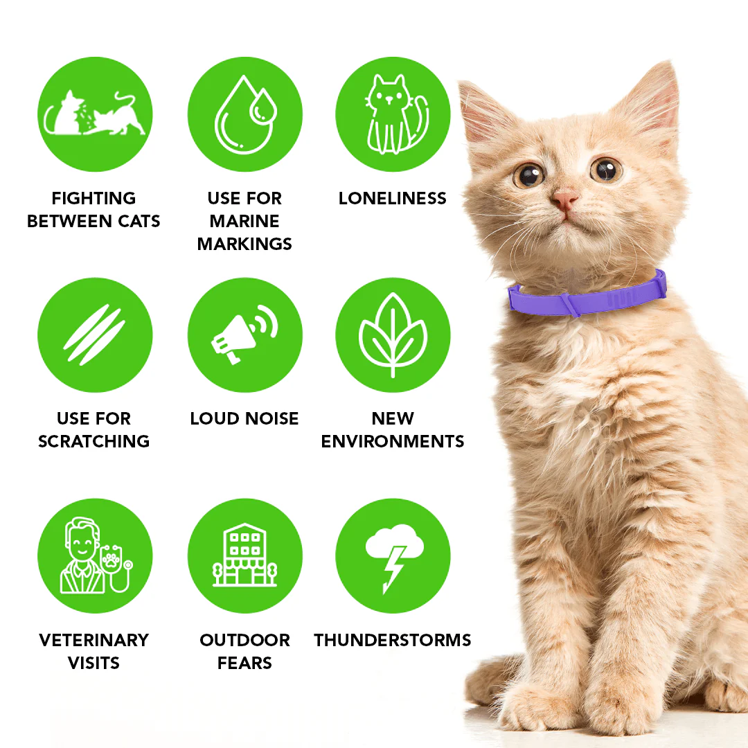 FurLife™ - Natural Pheromone Calming Collar for Cats - Image 4
