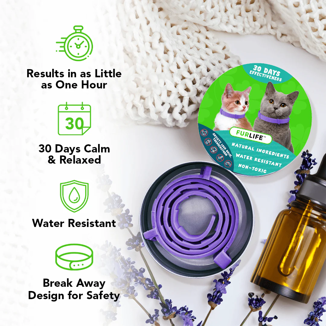 FurLife™ - Natural Pheromone Calming Collar for Cats - Image 3